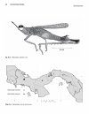 The Grasshoppers (Caelifera) of Costa Rica and Panama