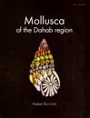 Mollusca of the Dahab Region