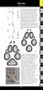 Weylin Field Guide: Tracks of Western European Animals