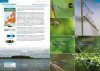 Europe's Dragonflies