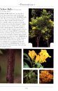 A Naturalist's Guide to the Trees of Sri Lanka