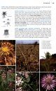 Field Guide to the Wild Flowers of the Algarve
