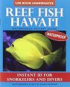 Reef Fish Hawai'i