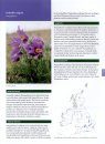 Grassland Plants of the British and Irish Lowlands
