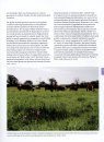 Grassland Plants of the British and Irish Lowlands