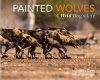 Painted Wolves