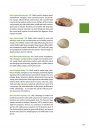 Marine Bivalves of Tropical West Africa
