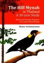 The Hill Mynah in Thailand