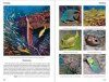Reef Fish Behavior