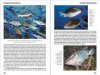 Reef Fish Behavior
