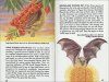 Bats of the World: A Fully Illustrated, Authoritative and Easy-To-Use Guide
