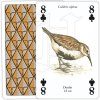 Sea and Coastal Birds Playing Cards