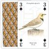 Sea and Coastal Birds Playing Cards