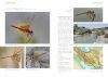 The Damselflies and Dragonflies of Iran