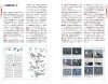 An Identification Guide to the Gulls of Japan [Japanese]