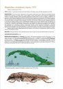Longicornios de Cuba (Coleoptera: Cerambycidae), Volume 2 [Longhorn Beetles of Cuba, Volume 2]