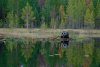 Taïga: Visions of Finnish Nature / Regards sur la Nature Finlandaise
