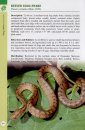 A Guide to Snakes of Peninsular Malaysia and Singapore
