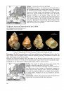 The Freshwater Gastropods of the West-Palaearctis, Volume 1