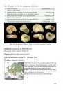 The Freshwater Gastropods of the West-Palaearctis, Volume 1