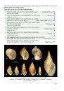 The Freshwater Gastropods of the West-Palaearctis, Volume 1