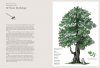 The Story of Trees