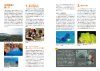 Sea Slugs and Nudibranchs of Japan [Japanese]