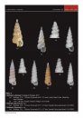 New Species of Cerithiopsidae and Newtoniellidae from Okinawa (Japan - Pacific Ocean)