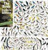 The Birds of Southern Africa - Poster