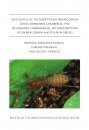 Systematics of the Short-Tailed Whipscorpion Genus Stenochrus Chamberlin, 1922 (Schizomida, Hubbardiidae), with Descriptions of Six New Genera and Five New Species