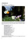 The Butterflies of Villars-Gryon