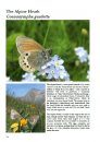 The Butterflies of Villars-Gryon
