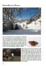 The Butterflies of Villars-Gryon