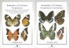 Butterflies of Vietnam, Volume 4: Nymphalidae (2-Volume Set)