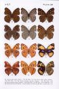 Butterflies of Vietnam, Volume 4: Nymphalidae (2-Volume Set)
