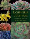 Echeveria Cultivars