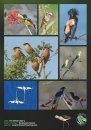 Birds of the Indian Ocean / Les Oiseaux de l'Océan Indien (2-Volume Set)