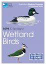 RSPB ID Spotlight: Wetland Birds