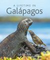 A Lifetime in Galápagos