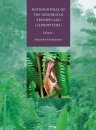 Notodontidae of the Indonesian Archipelago (Lepidoptera), Volume 1