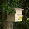 Dormouse Nest Box | NHBS Practical Conservation Equipment