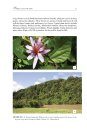 A Flora of the Eastern Cape Province (3-Volume Set)