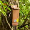 Treecreeper Nest Box