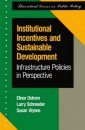 Institutional Incentives and Sustainable Development