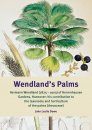 Wendland’s Palms