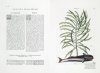 Historical Portrait of the Progress of Ichthyology: From Its Origins to Our Own Time / Tableau Historique des Progrès de l’Ichtyologie: Depuis Son ­Origine jusqu’à Nos Jours