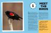 Audubon Birding Adventures for Kids