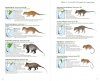 Mammals of the Southern Cone
