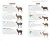 Mammals of South Asia