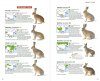 Mammals of China